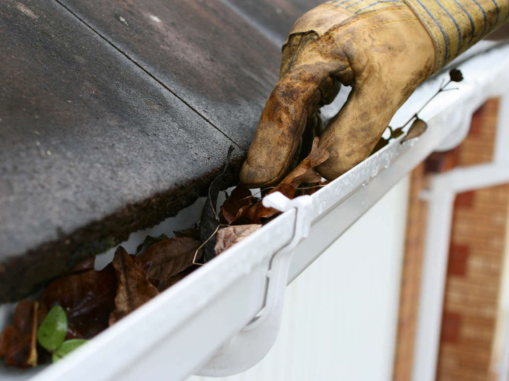Cleaning Gutters and Downspouts San Diego Pro Hadyman Services